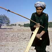 Ploughing the field