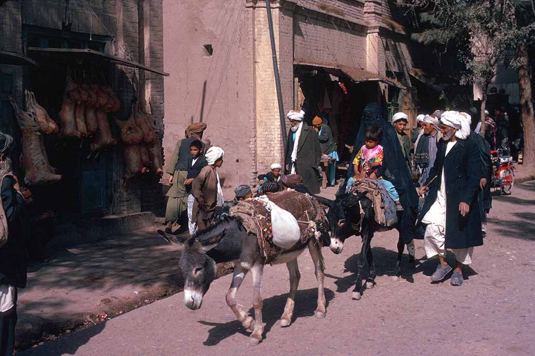 Donkey transport