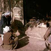 Shoeing a horse