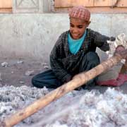 Separating cotton fibres