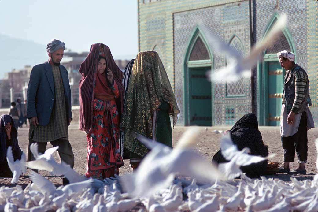 Pigeons near shrine