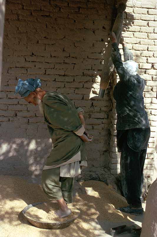 Preparing grain