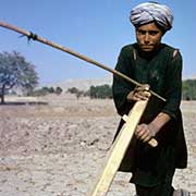 Ploughing the field