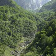 Along the Valbona river