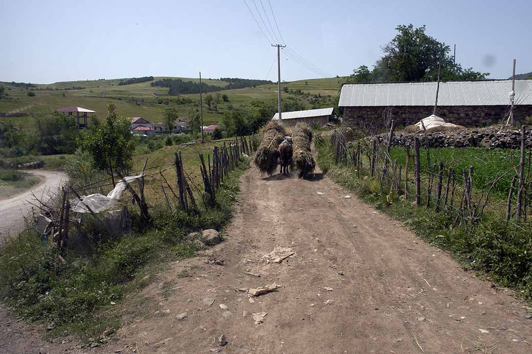 Farm road, Voskopoja