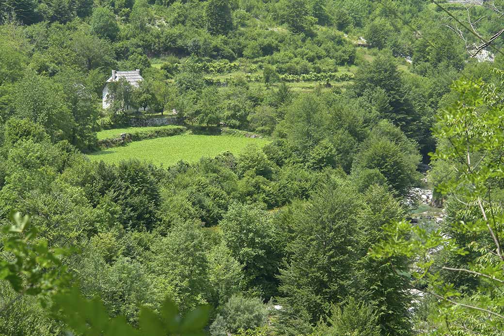 View to farmhouse