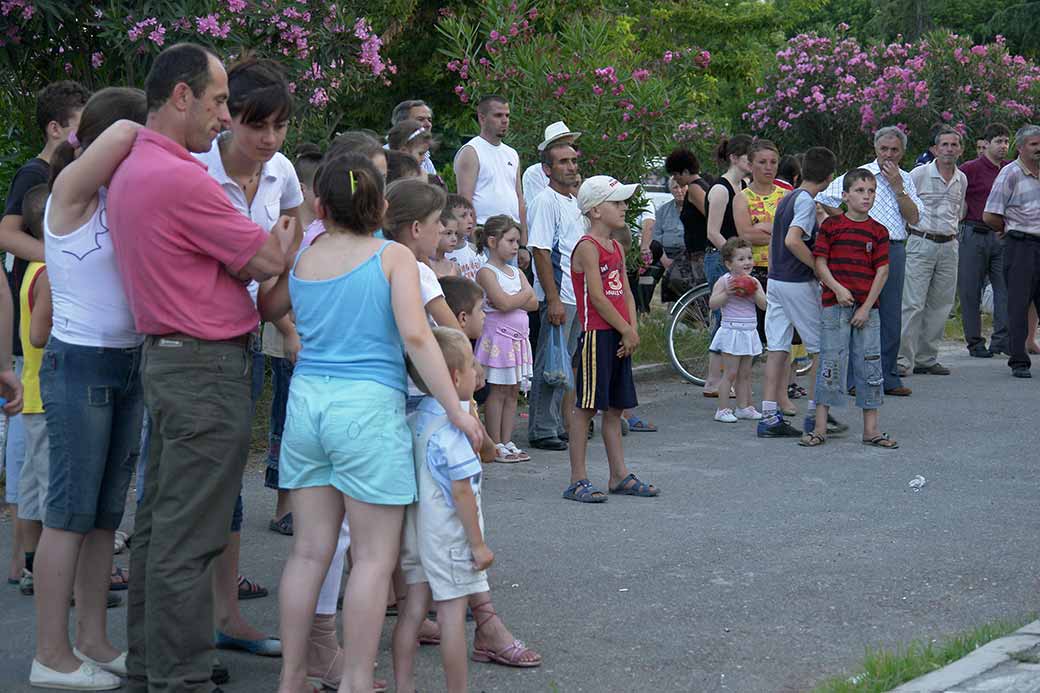 Concert audience