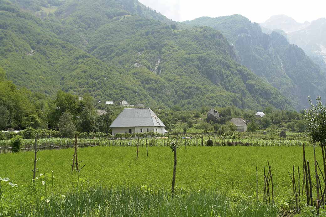 Farming fields