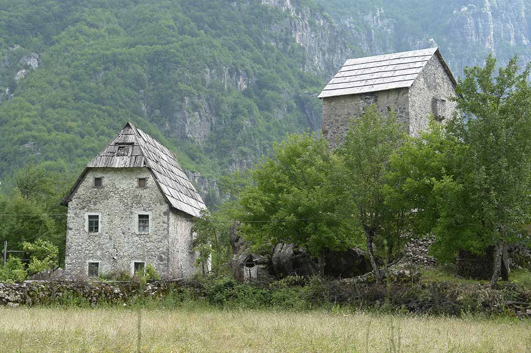 Traditional house