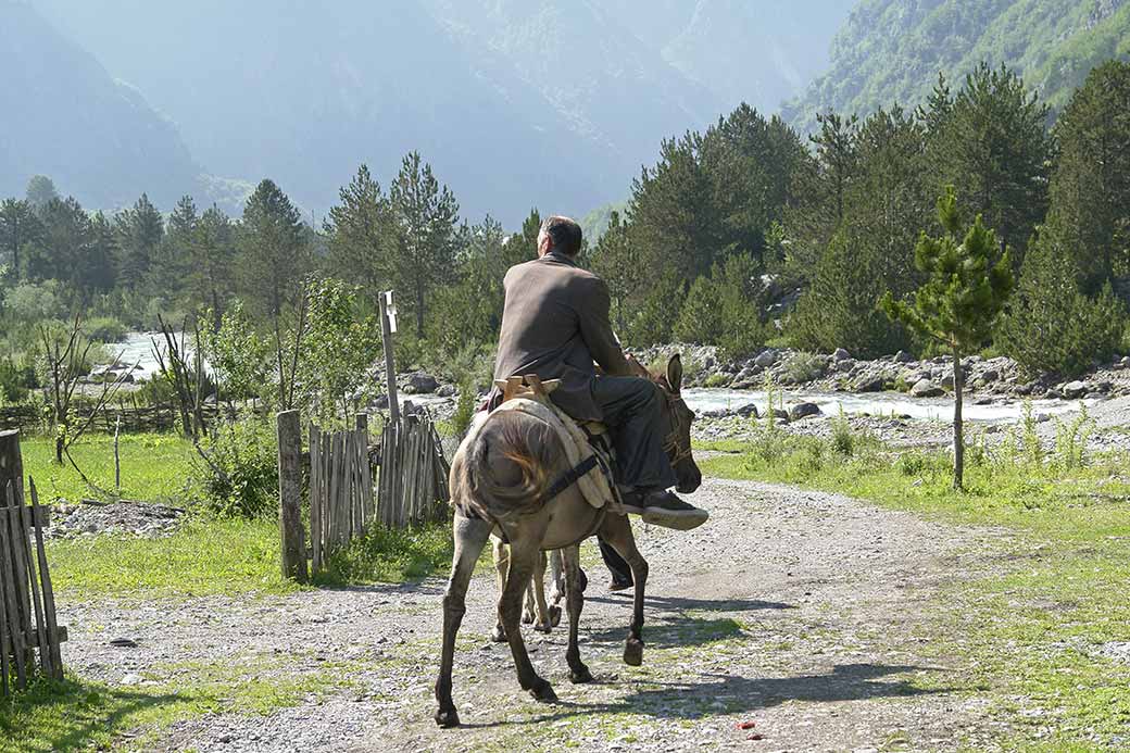 Riding a donkey