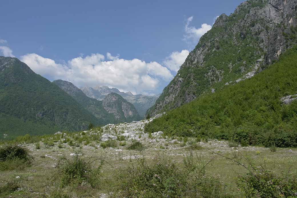 Mountain landscape