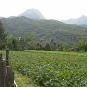 Farm near Valbona