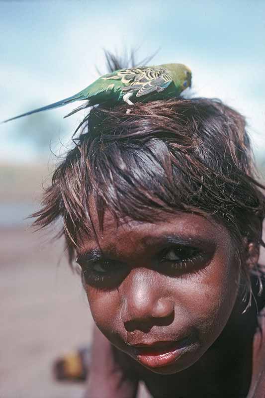 Boy with little bird