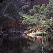 Waterhole, Ormiston