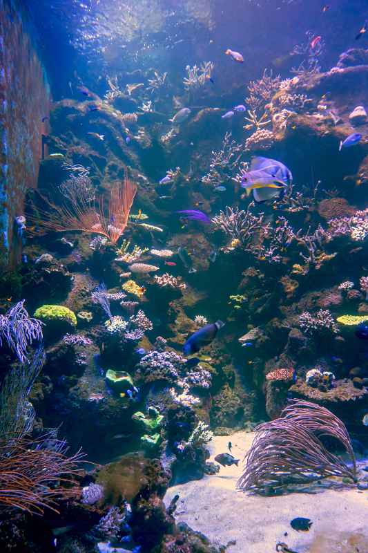 Aquarium, Exmouth