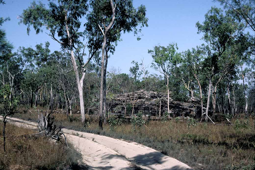 Sandy bush track