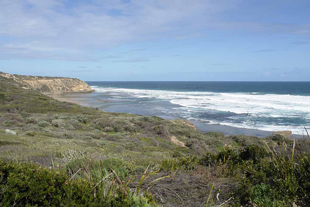 Cheviot Beach