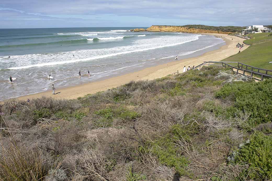 Surf coast, Torquay