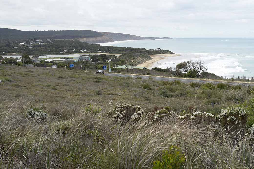 Anglesea