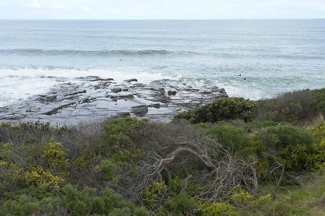 Surfers, Lorne