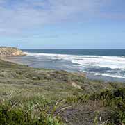 Cheviot Beach