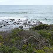 Surfers, Lorne