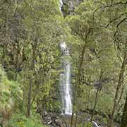 Erskine Falls