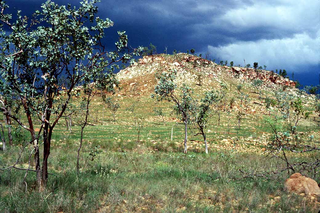 Near Campbell Springs