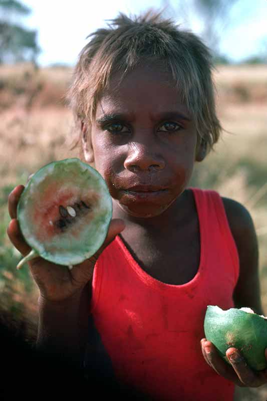 Wild watermelon