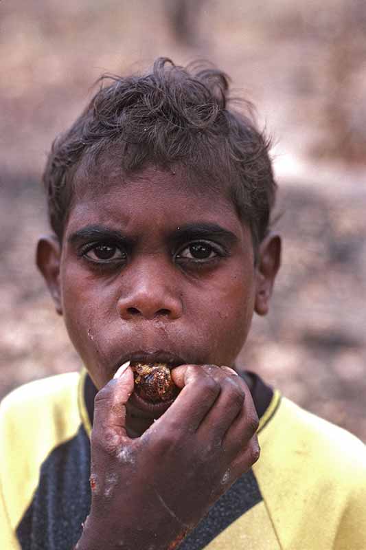 Eating bush gum