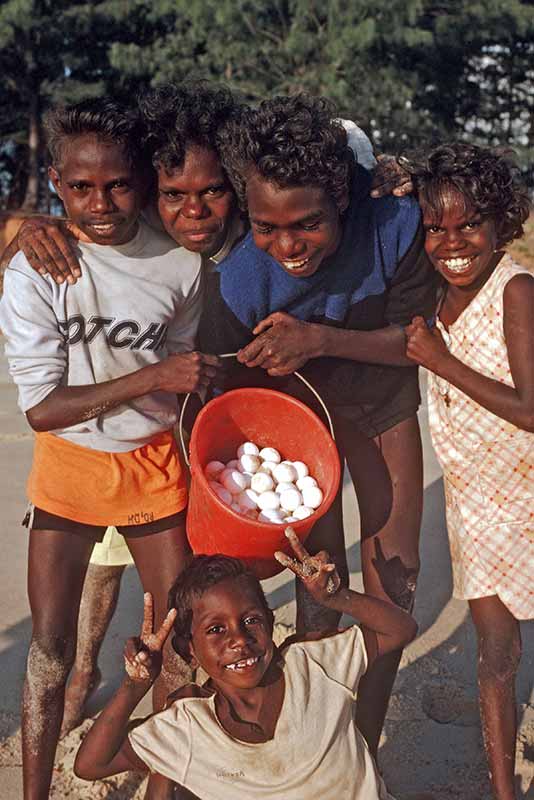 Turtle eggs