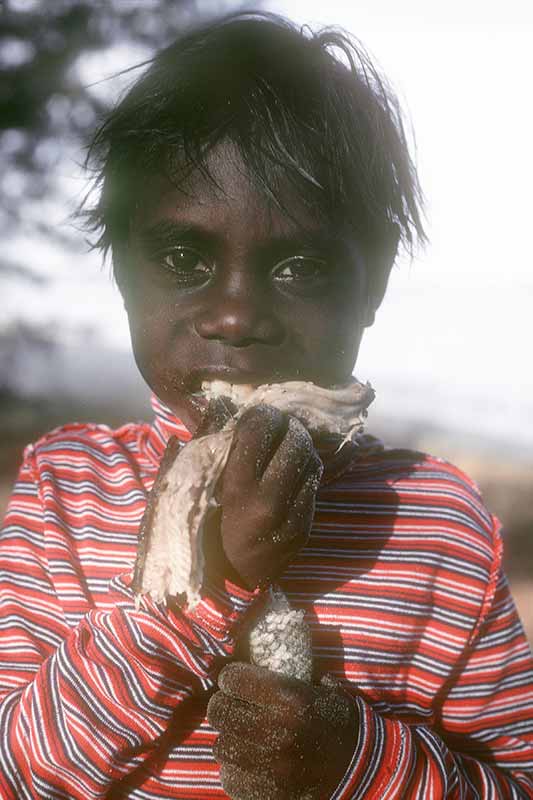 Eating carpet snake