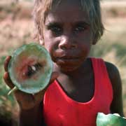 Wild watermelon