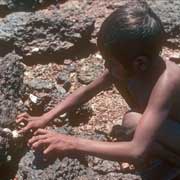 Collecting oysters