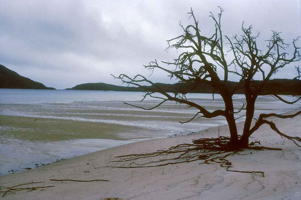 Cape York beach