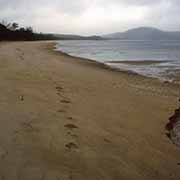 Punsand Bay beach