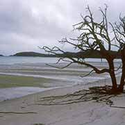 Cape York beach