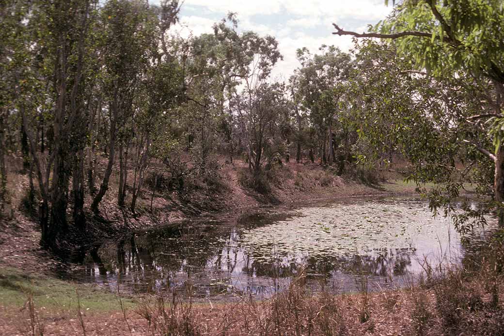 Waterhole, Maramarrina