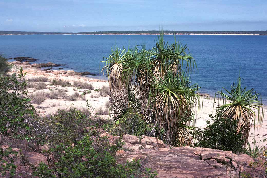 View to Centre Island