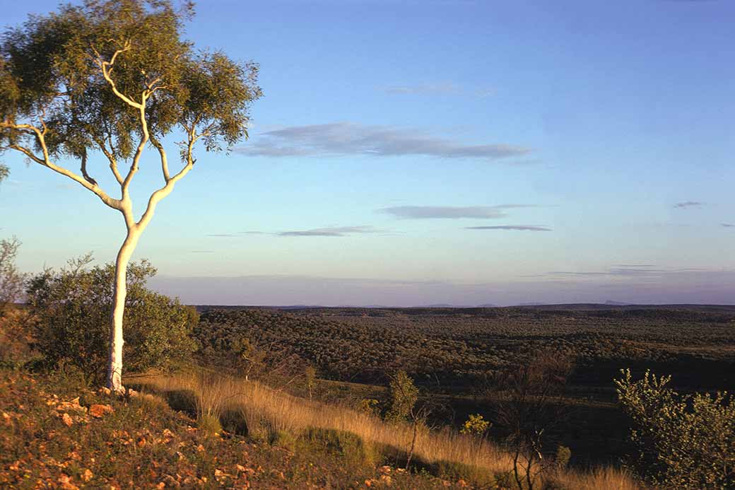 Near Yuendumu