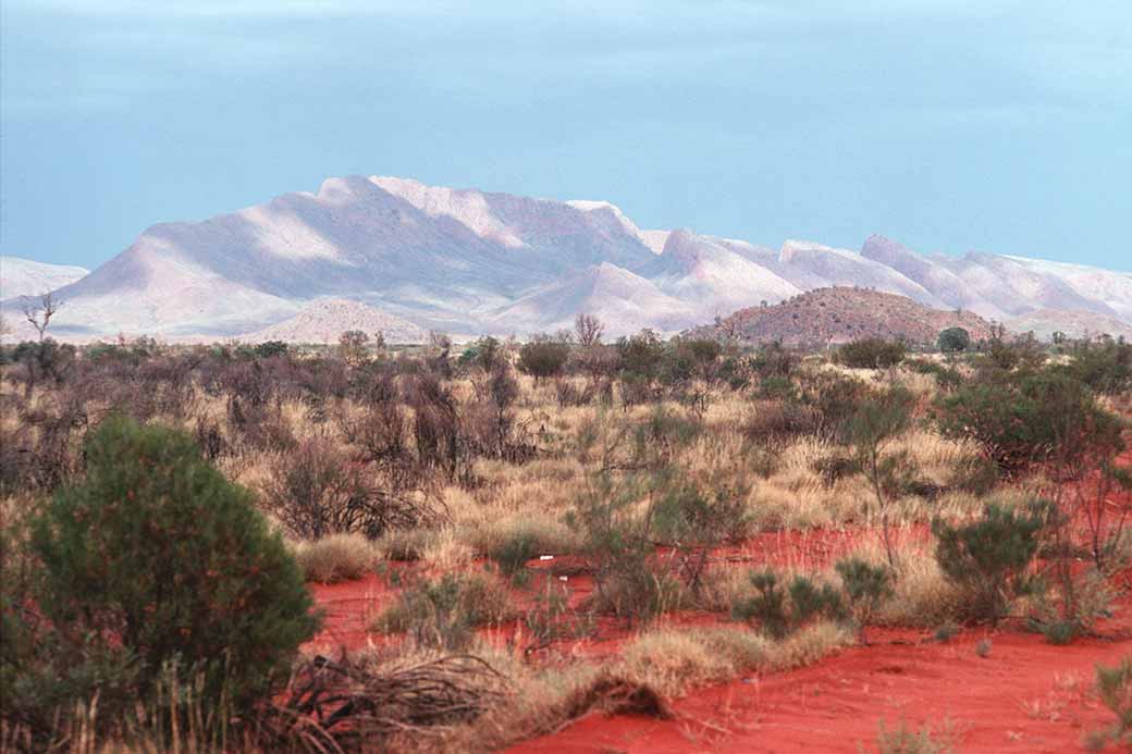 View to Mt Liebig