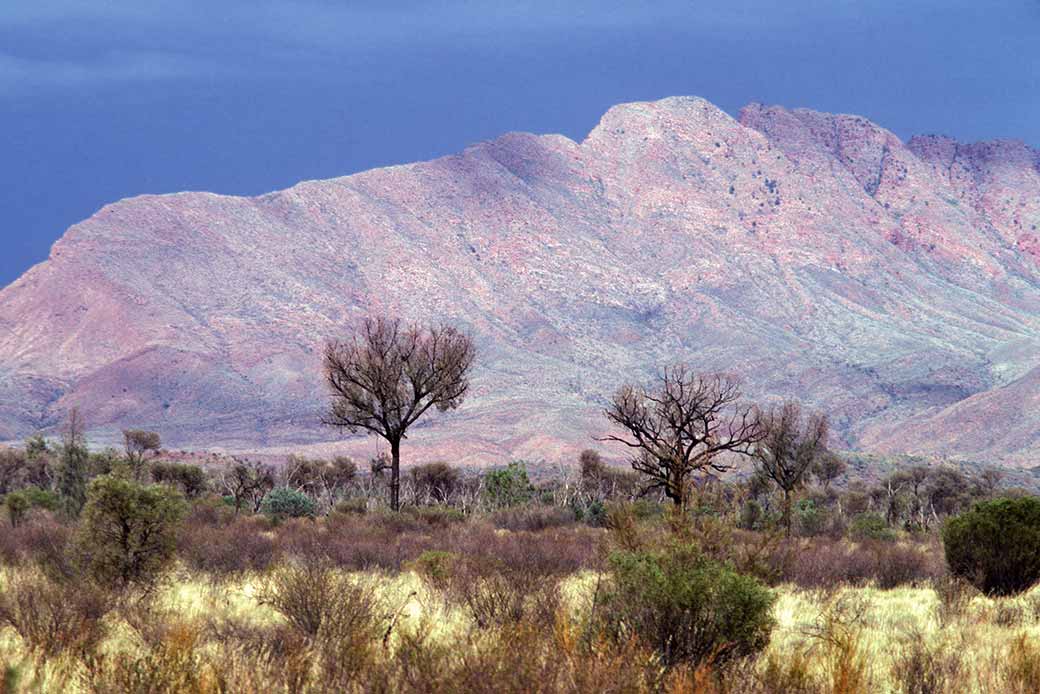 Mount Liebig