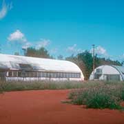 “Quonset Huts” in Papunya