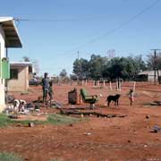 Housing in Papunya