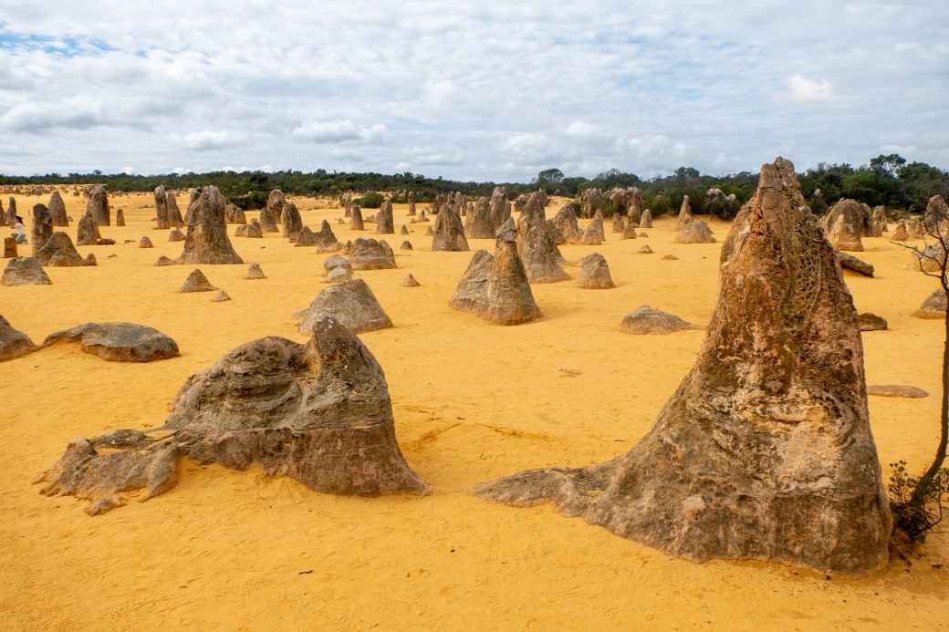 Pinnacles Desert National Park