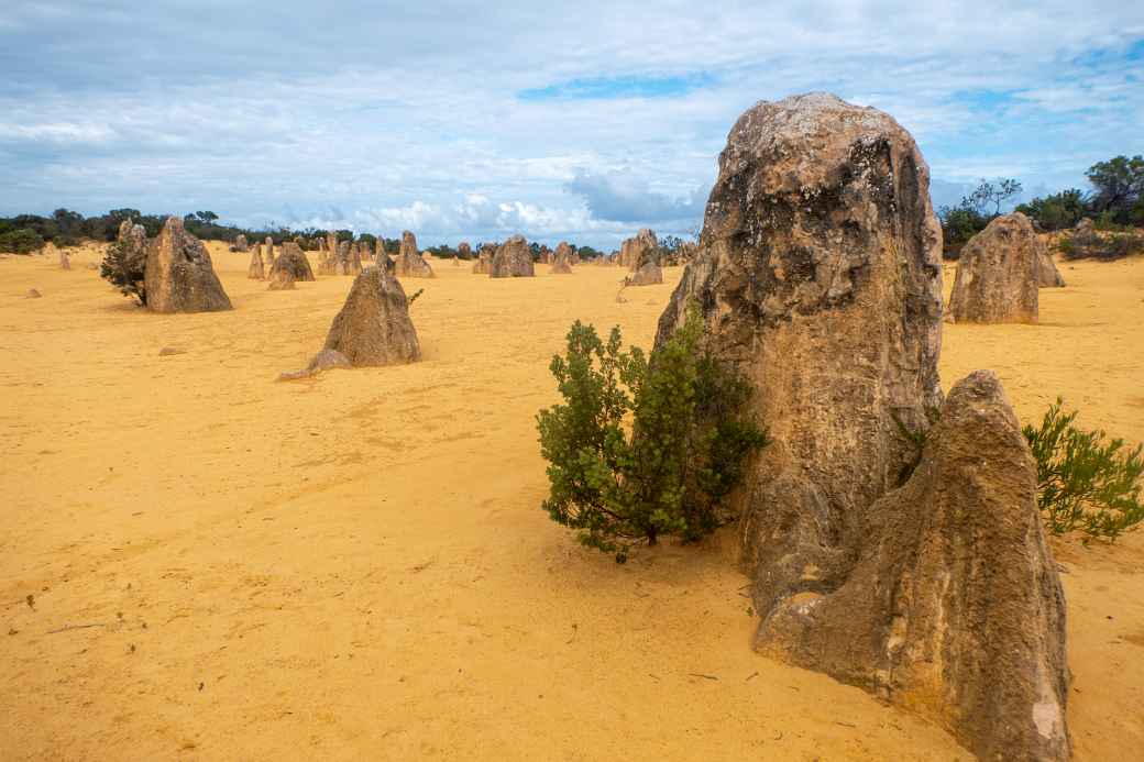 Pinnacles Desert National Park