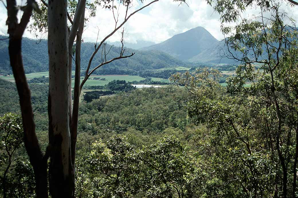 From Heale's Lookout