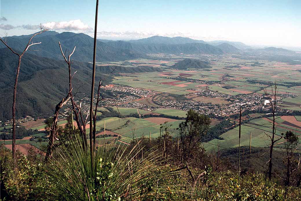 Gordonvale panorama