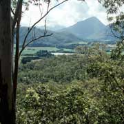 From Heale's Lookout