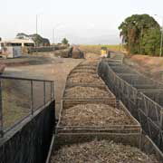 Sugar cane train